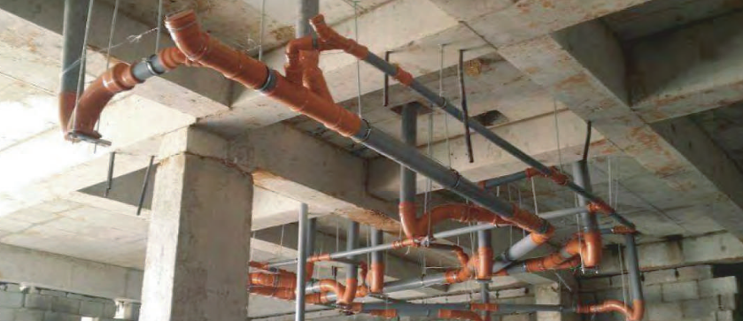 الصرف والتغذية