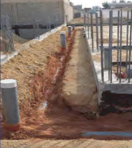 الصرف والتغذية