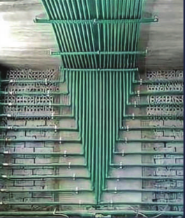 الصرف والتغذية