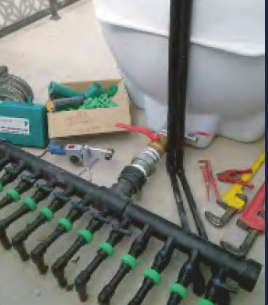 الصرف والتغذية